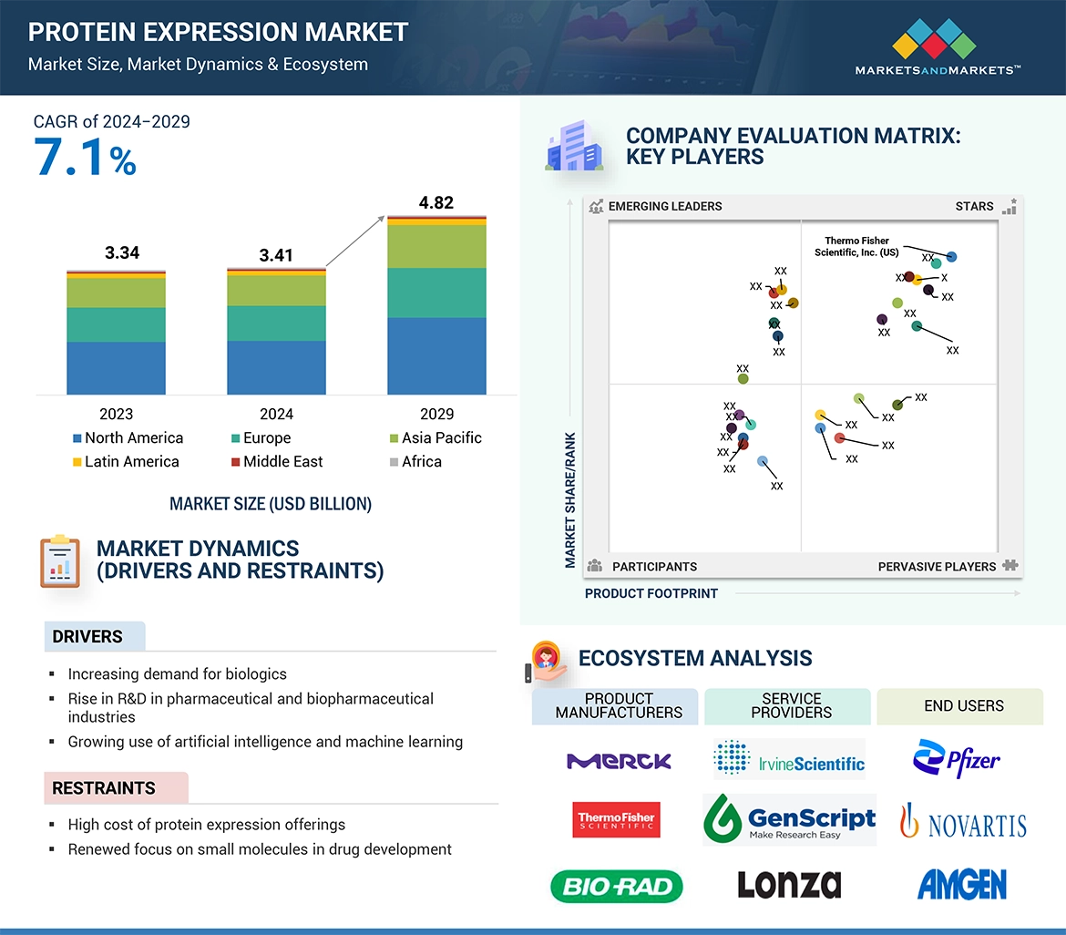Protein Expression Market Global Forecast and Key Opportunities to 2029